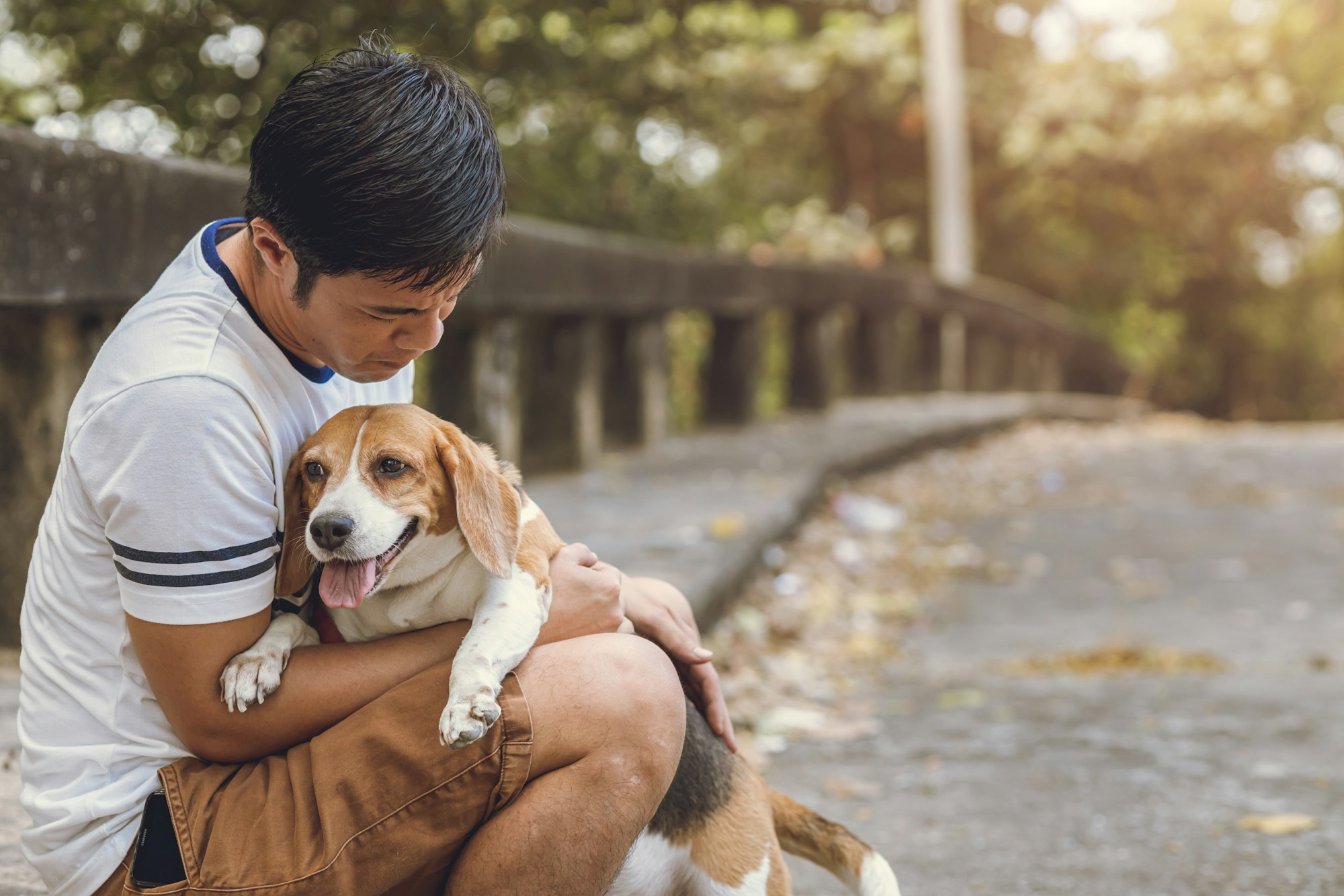 people love and care his pet dog. old Beagle dog stay with man.